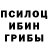 Галлюциногенные грибы Psilocybe Daggero4ek  2