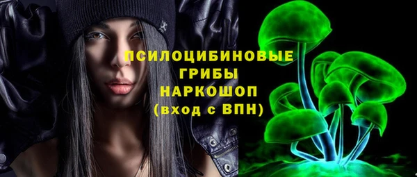 прущая мука Бородино