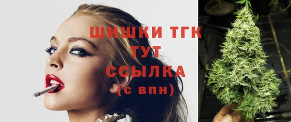 крисы Бронницы