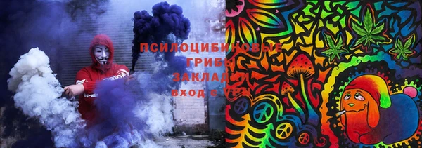крисы Бронницы