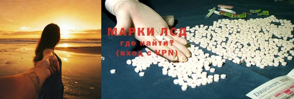 крисы Бронницы