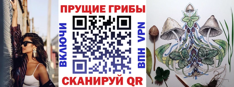 Псилоцибиновые грибы прущие грибы продажа наркотиков Новомичуринск